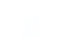 大家好，我又来更新素材了，你们有没有想我？