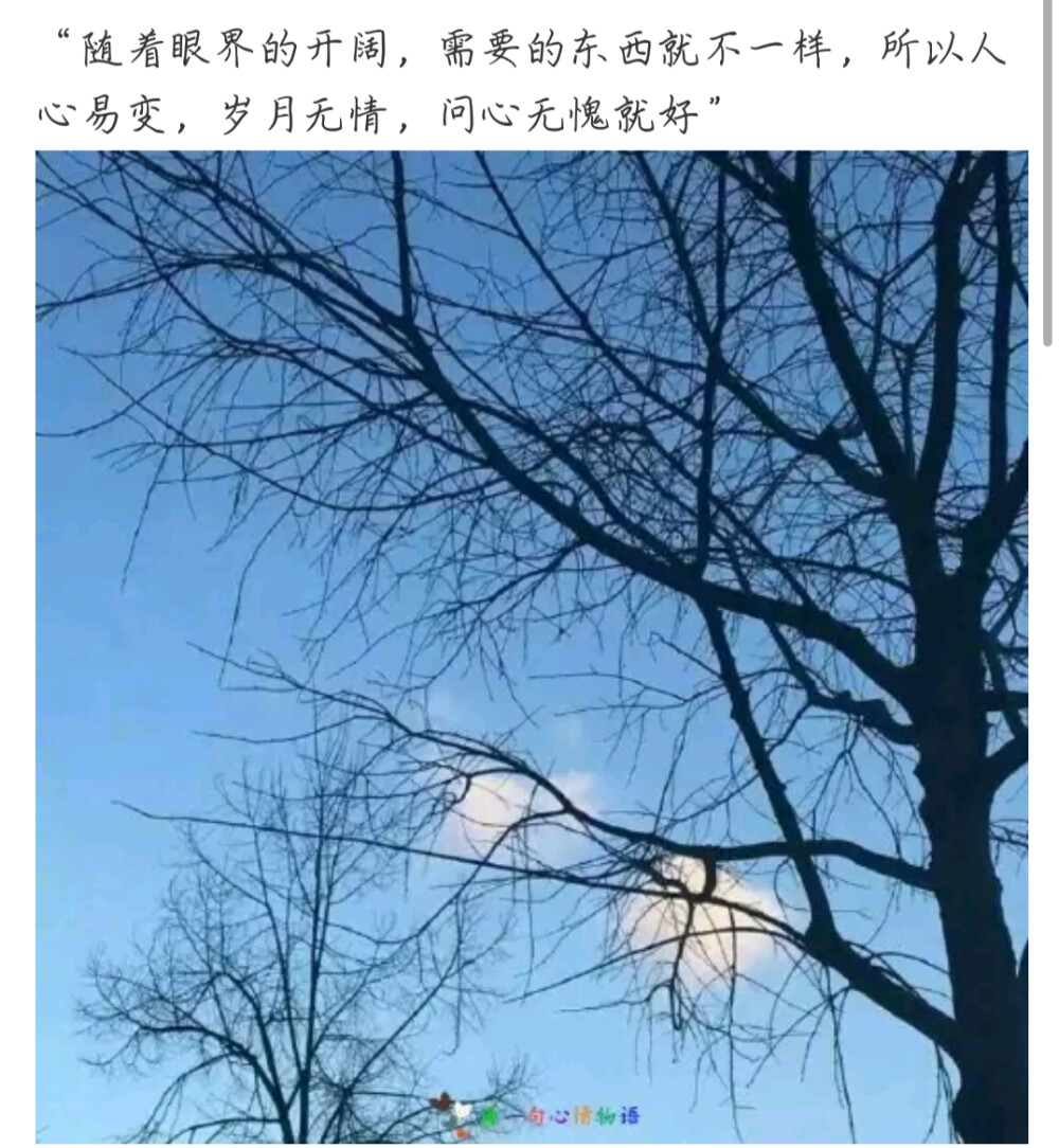 文字—— 日子需要一丢丢小美好