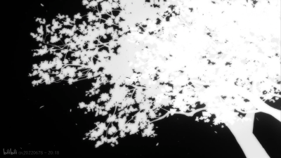 爱吃拉面的小泉同学