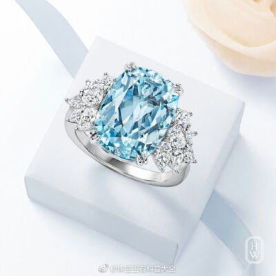 来自 Harry Winston 的蓝色，如海水一样的海蓝宝 Aquamarine ​​
微博：珠宝玉石科普大全