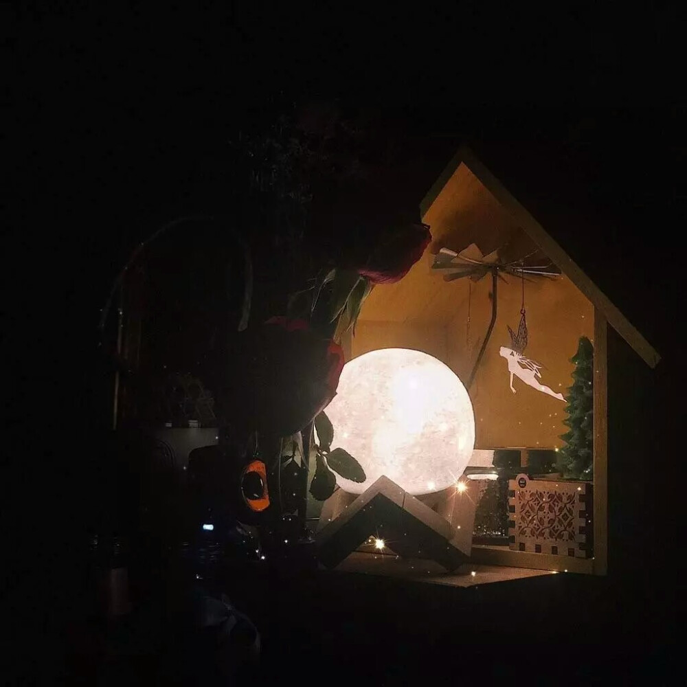 手机桌面壁纸
「图片转自微信公众号：喵姐札记，喜欢关注]
如有侵权，联系侵删
谢谢喜欢៚