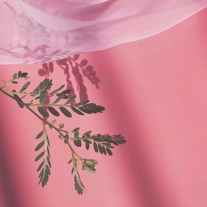 假装无所谓是一种很要命的情绪，要不得要不得