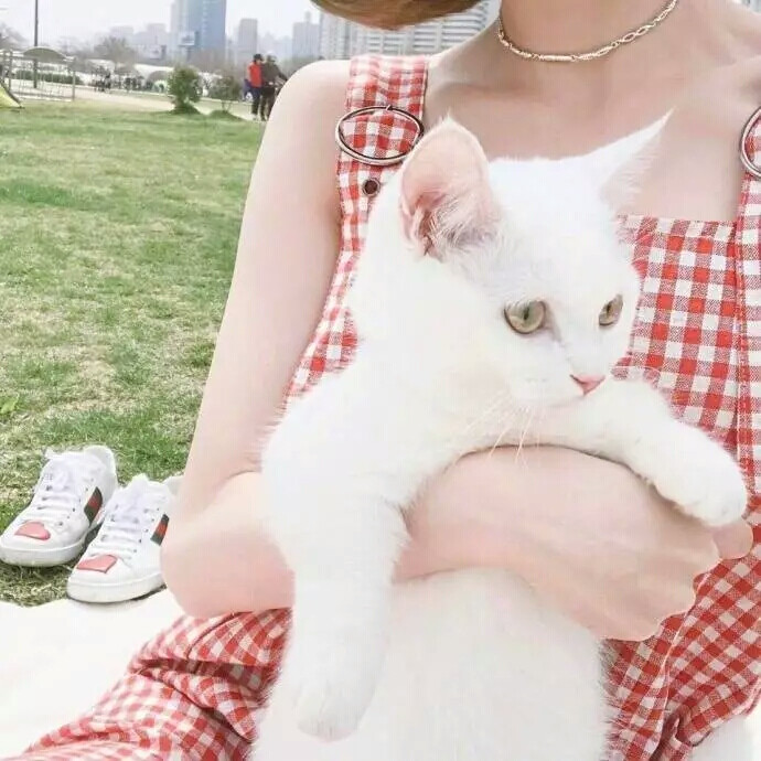假装无所谓是一种很要命的情绪，要不得要不得