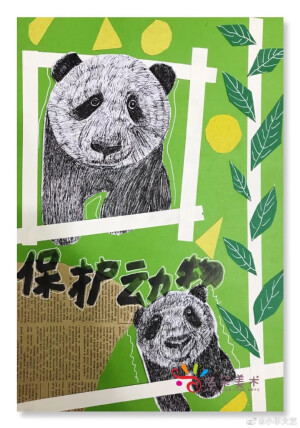 保护动物 ​​​​