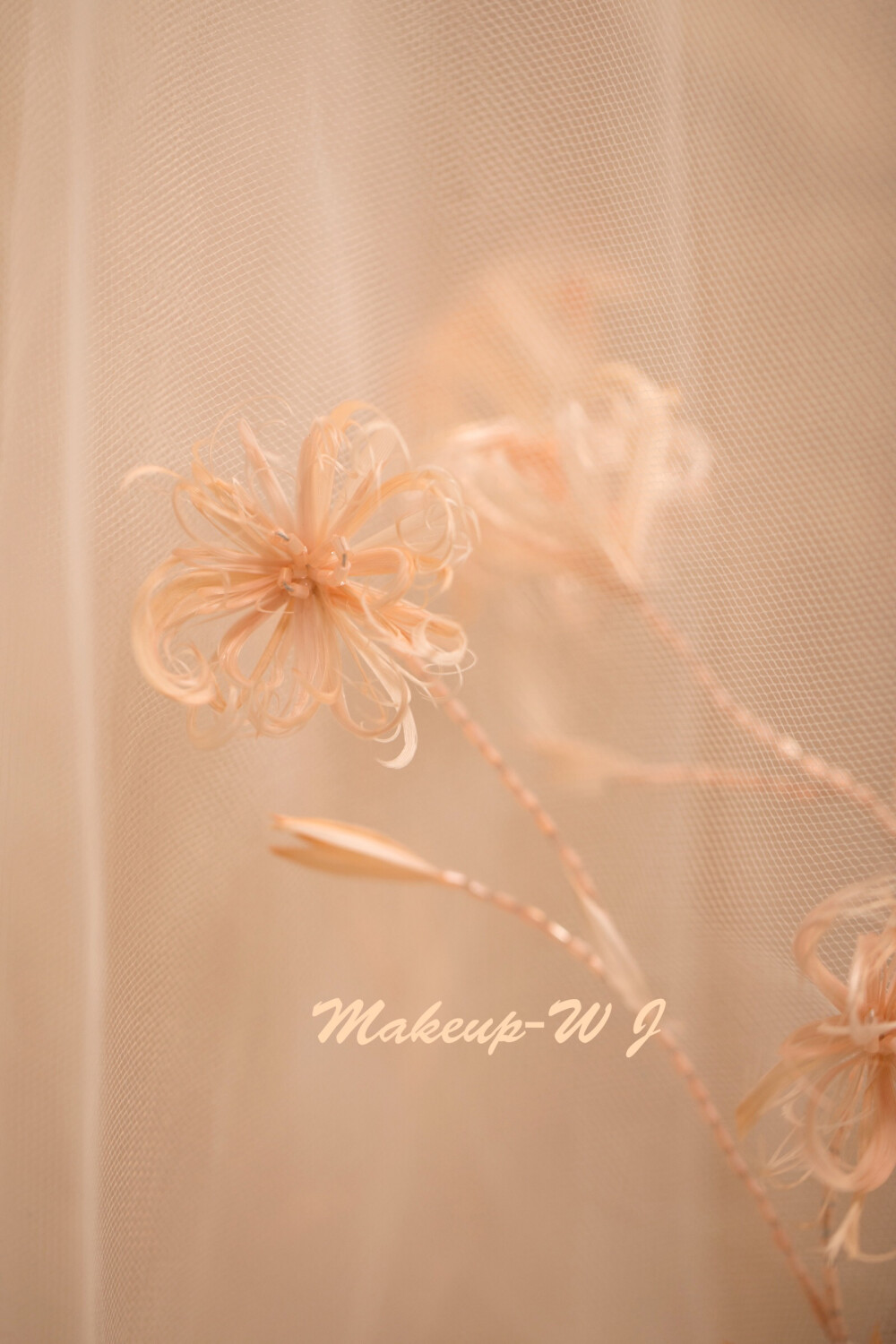 浅橘色头纱制作
将羽毛以条状拉丝
粘接花型
钩针绣勾勒出茎叶
立体法式绣➕轻盈羽毛
自头纱尾部向上延伸
影影绰绰·高级感
头纱制作浪浪老师
来自【高级手工班】