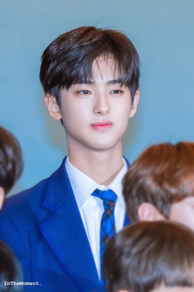 Kim Mingyu✨