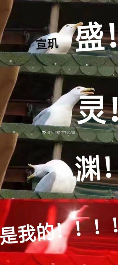 烈火浇愁
