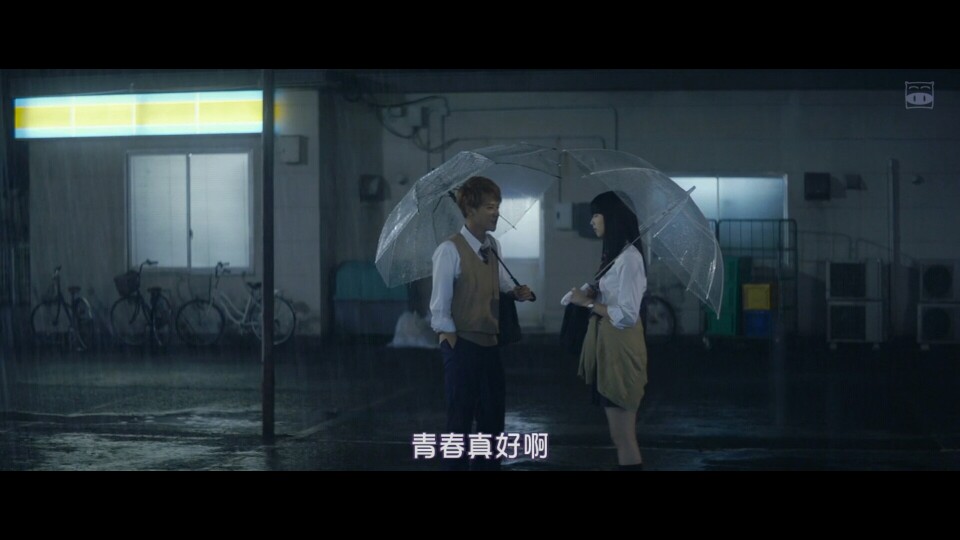 恋如雨止