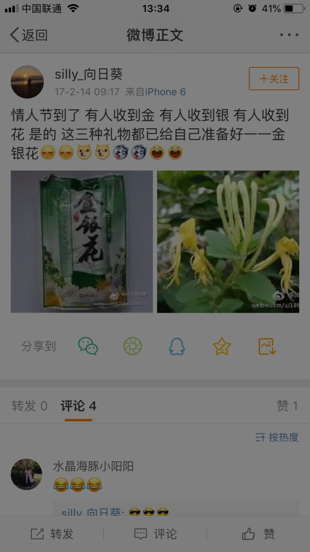 情人节，金银花