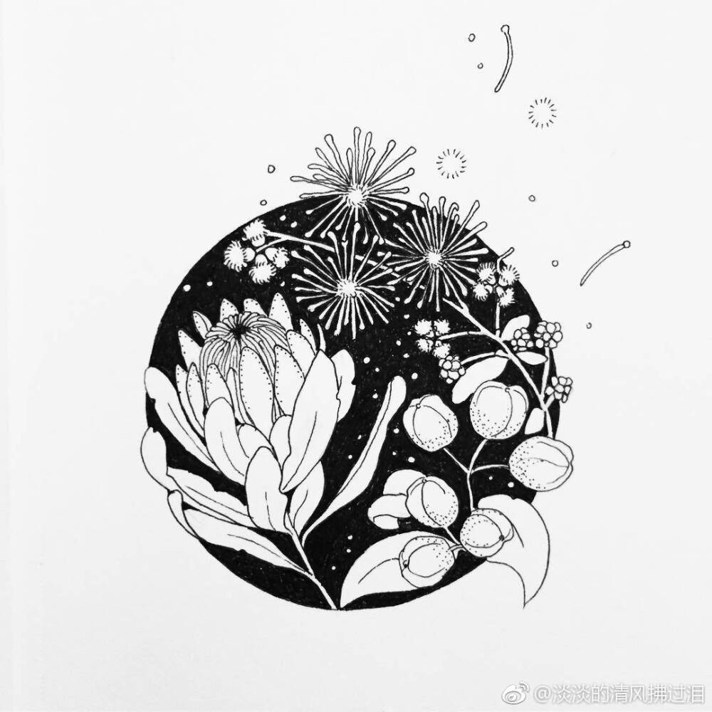 线描植物素材