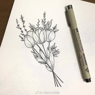 线描植物素材