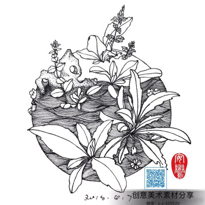 线描植物素材