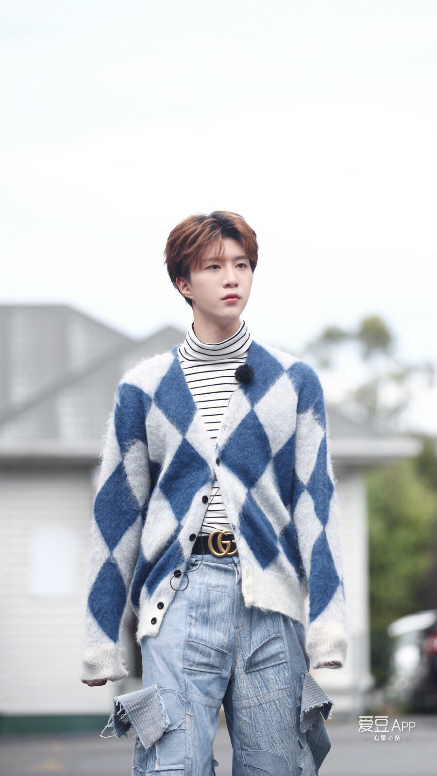 《青春的花路》