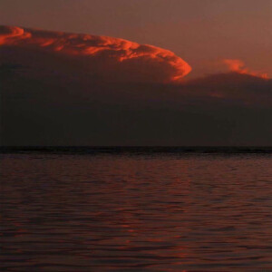 楼下的便利店总能遇见你