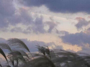 楼下的便利店总能遇见你