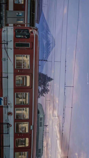 燕子归来 寄我江南一支春