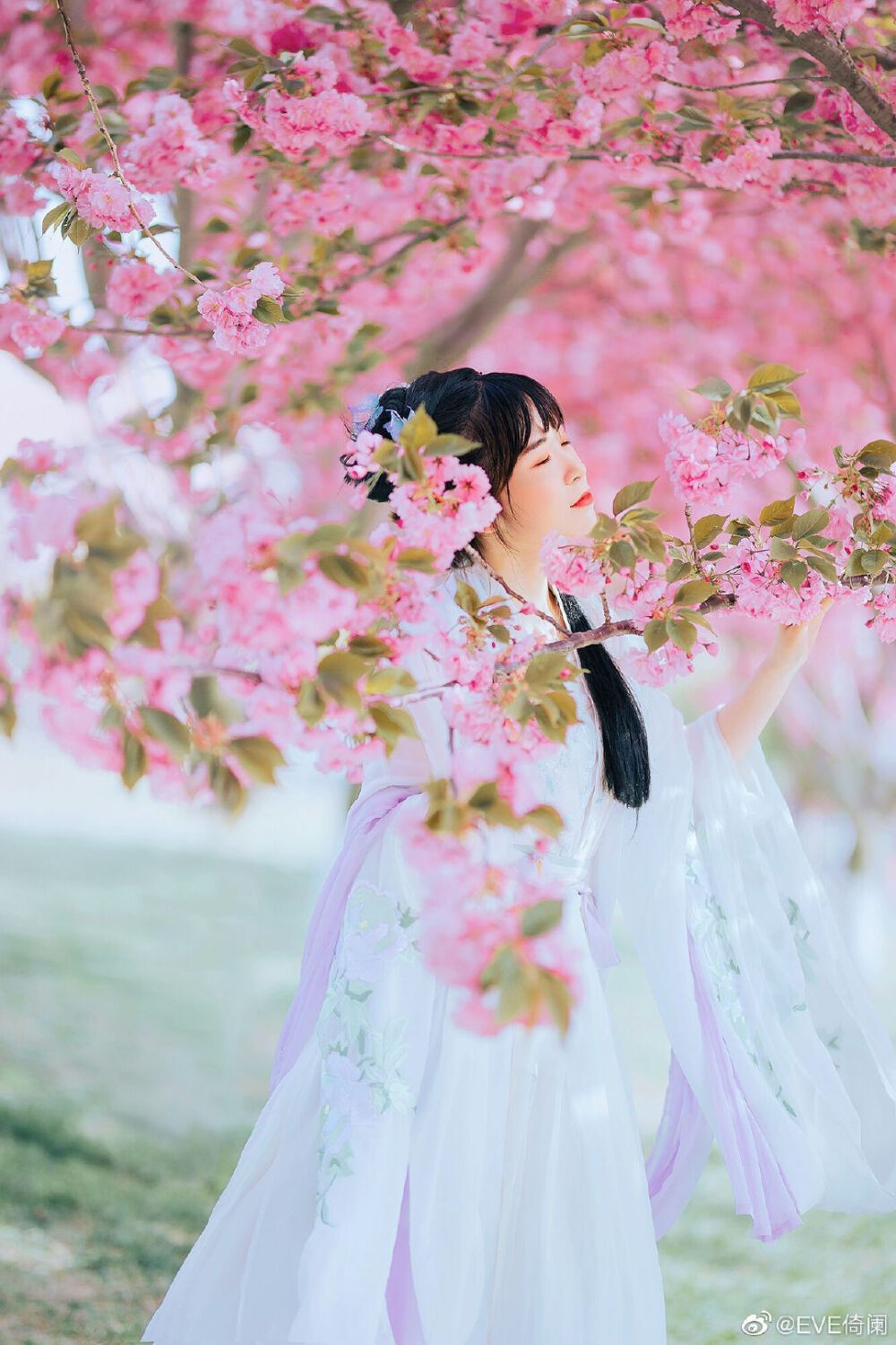 #青岛约拍#
“落花时节又逢君”
妆造/拍摄/后期：@EVE倚阑
出镜：@limyeong
服装：@三十六雨汉服工坊 我的衣服几乎都是她家的
#成都约拍##开封约拍##汉服写真##杭州约拍＃