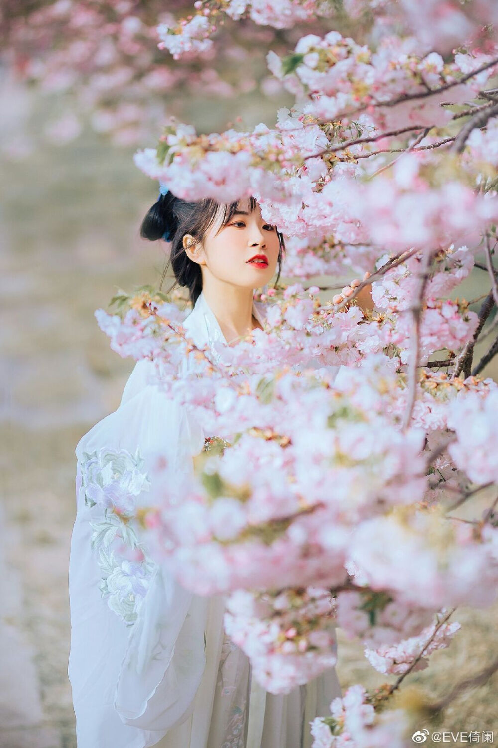 #青岛约拍#
“落花时节又逢君”
妆造/拍摄/后期：@EVE倚阑
出镜：@limyeong
服装：@三十六雨汉服工坊 我的衣服几乎都是她家的
#成都约拍##开封约拍##汉服写真##杭州约拍＃