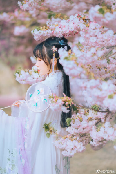 #青岛约拍#
“落花时节又逢君”
妆造/拍摄/后期：@EVE倚阑
出镜：@limyeong
服装：@三十六雨汉服工坊 我的衣服几乎都是她家的
#成都约拍##开封约拍##汉服写真##杭州约拍＃