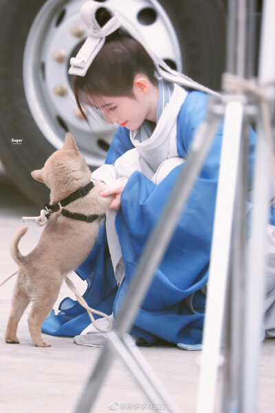 鞠婧祎.雪文曦。