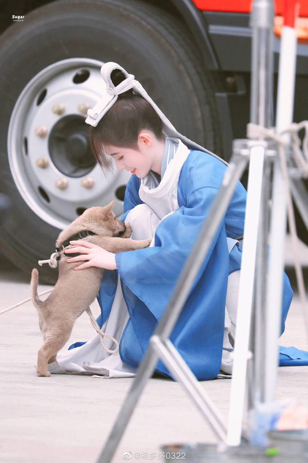 鞠婧祎.雪文曦。