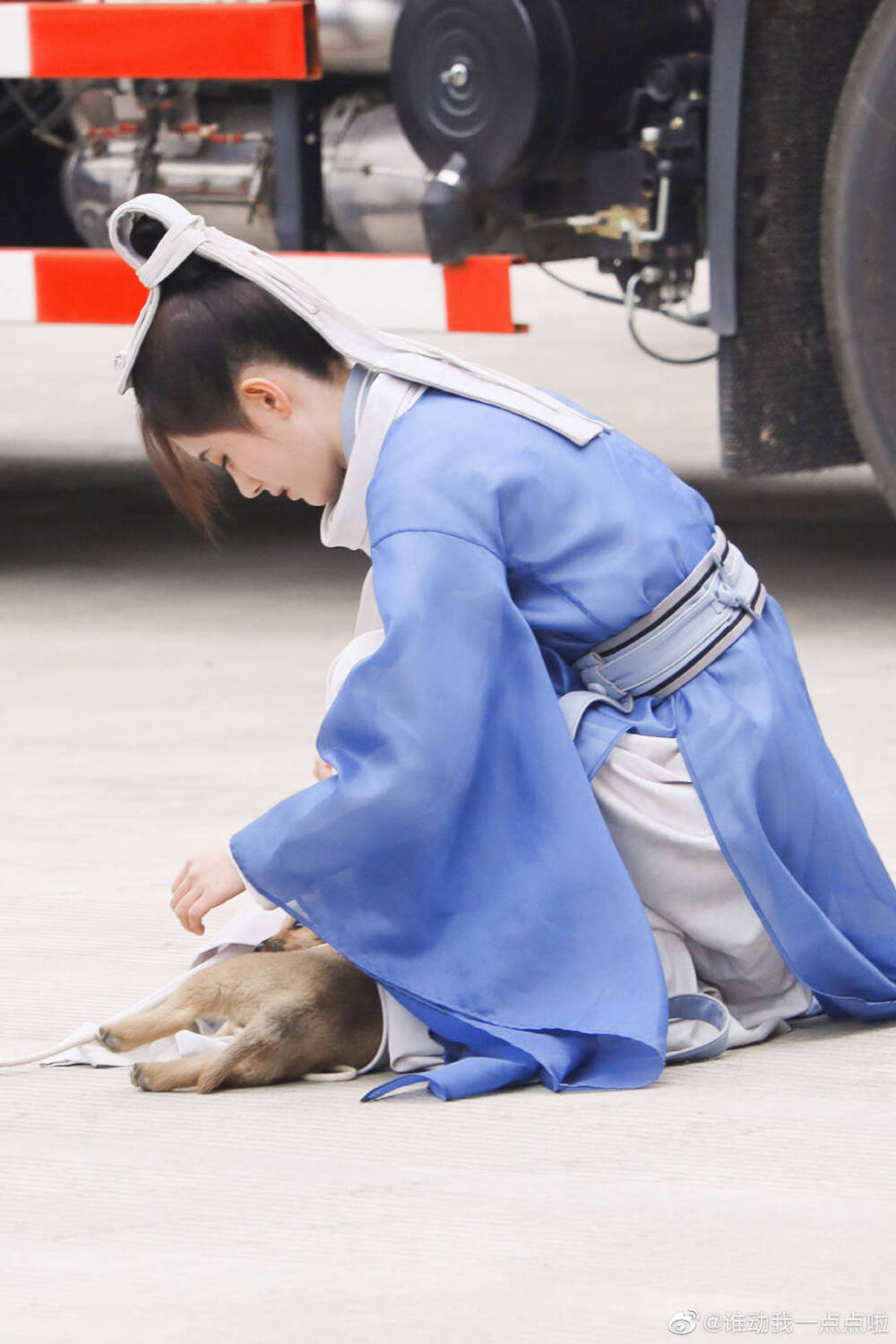 鞠婧祎.雪文曦。