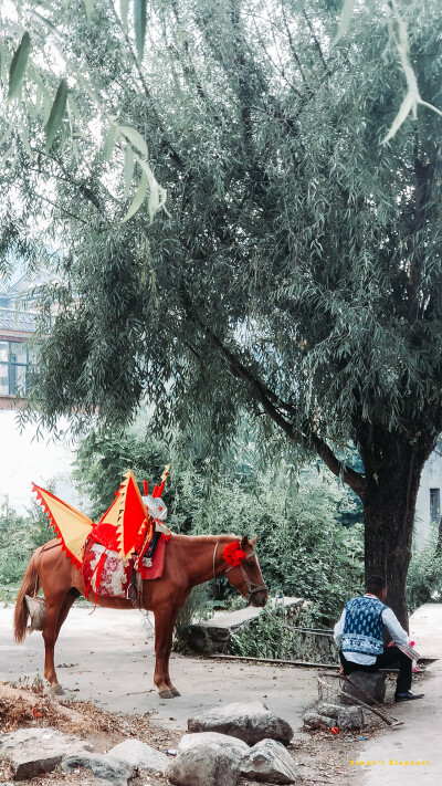 端午节好热闹[可爱]阿姐们跳舞跳得真好[鼓掌]
