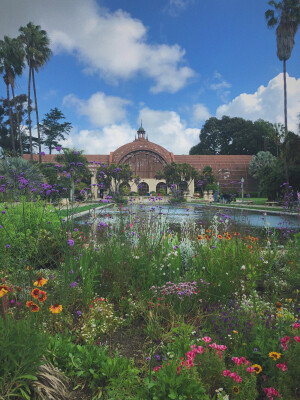 Balboa park的小植物园 简直是我的天堂 作为plant lady 这种充满绿色又无虫的环境可以让我每分每秒都处在高潮