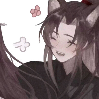 二哈和他的白猫师尊