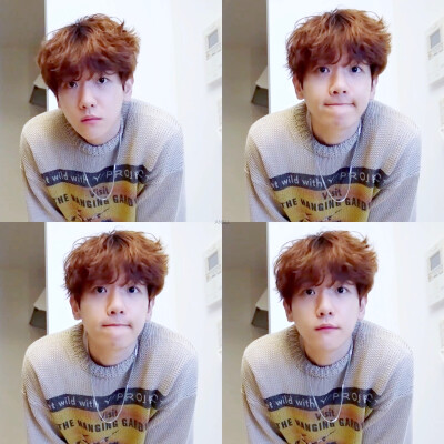 边伯贤 四格图#头像
Cr.璨烮