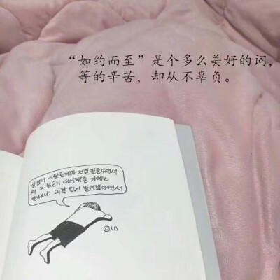 壁纸