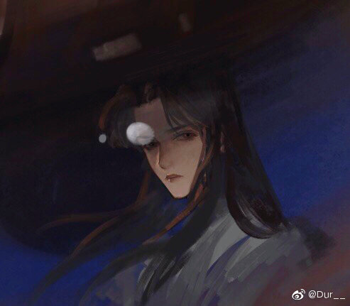 二哈和他的白猫师尊