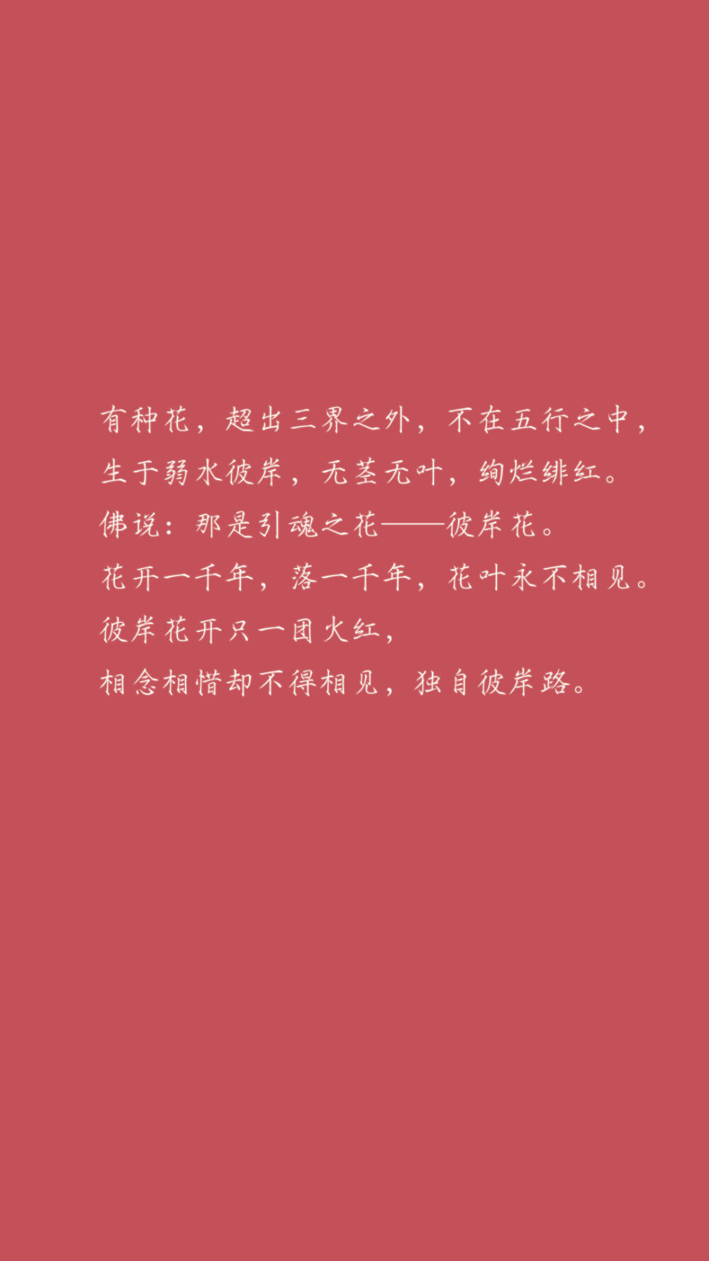 文章