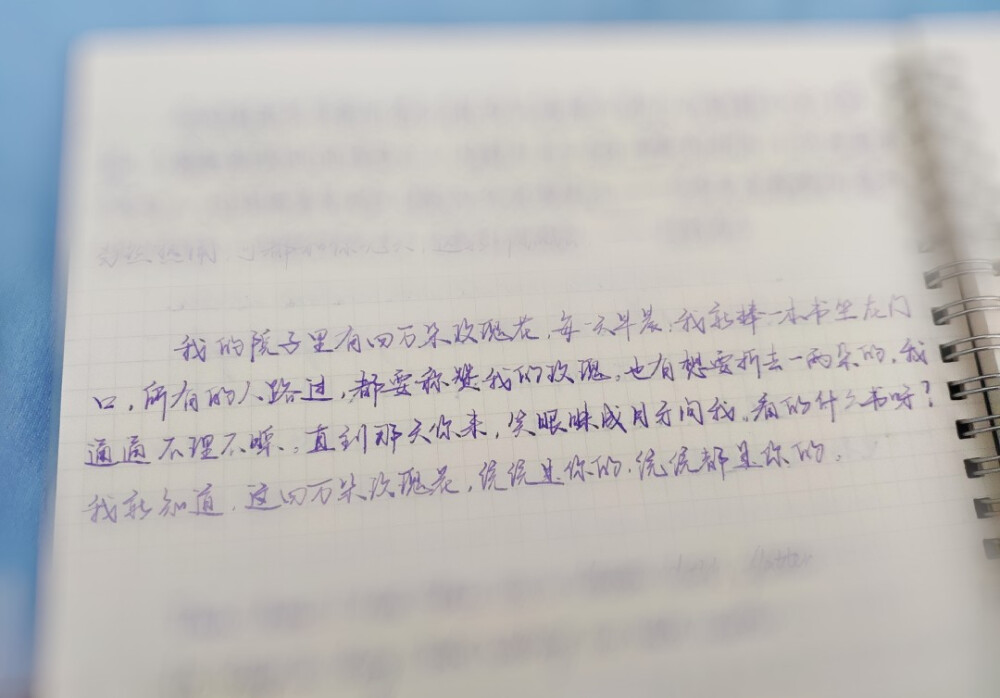 我还是很想，把所有的玫瑰花都送给你