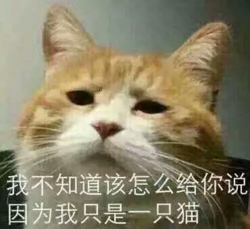 情绪