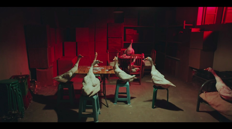 《动物管理局》大鹅开会