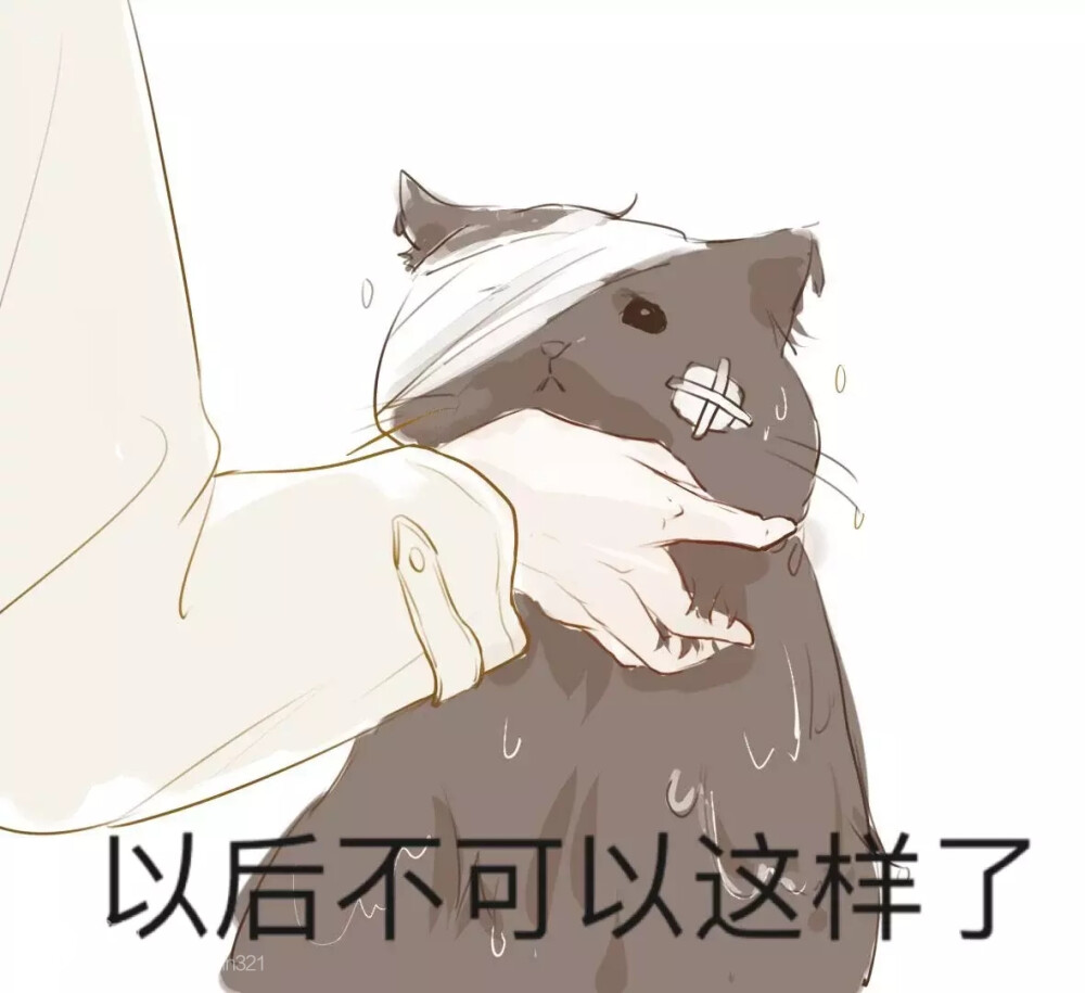 哈哈哈