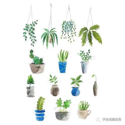 水彩植物素材