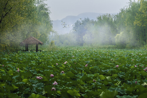 微山湖