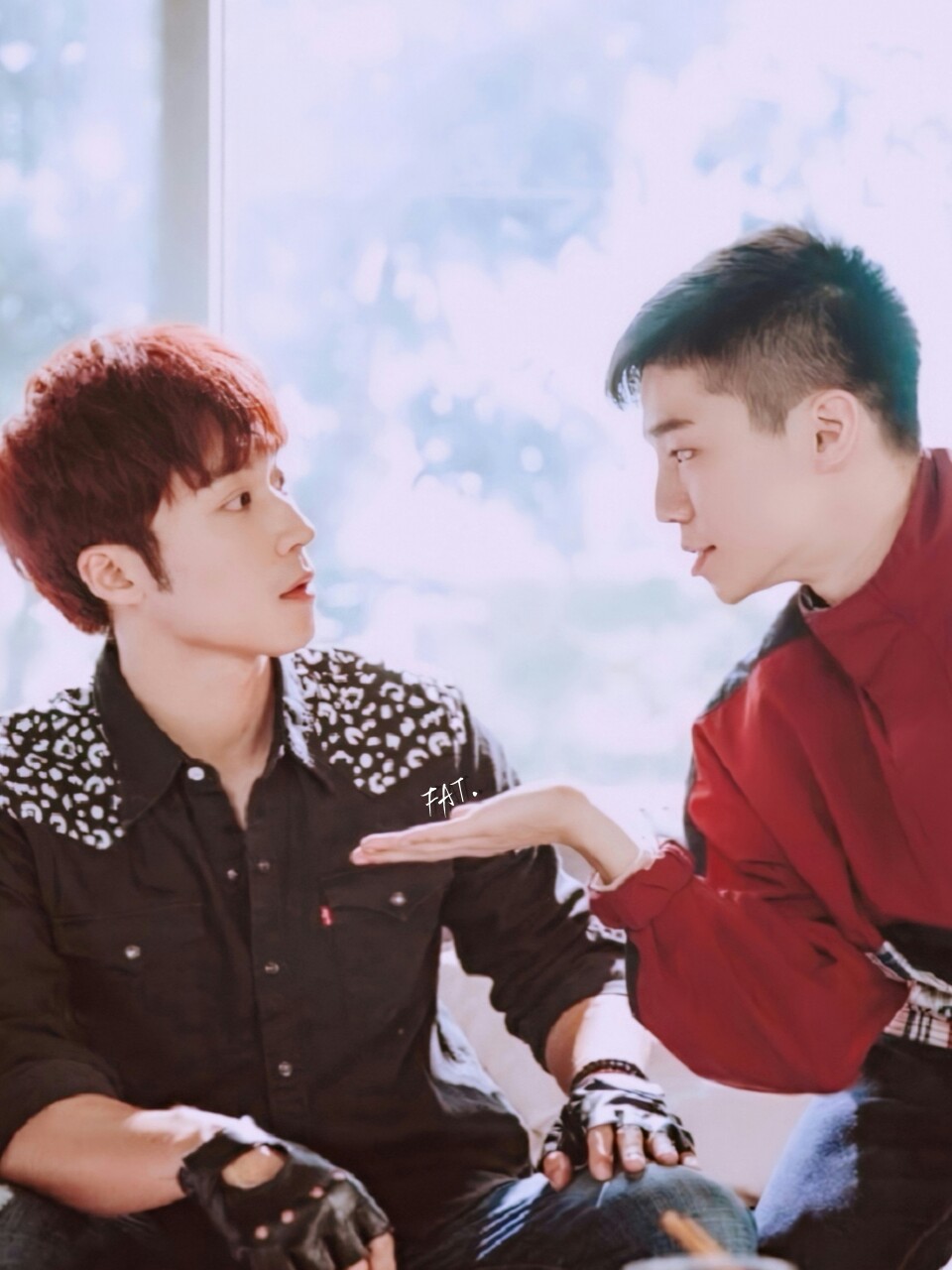 壁纸圈套立克赵立安陈廷轩jack卞庆华