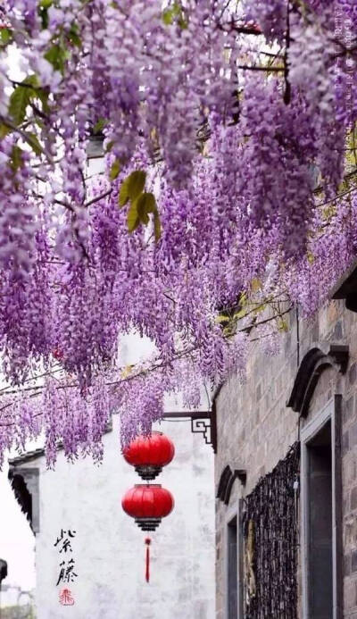 十二星座老门东游玩指南