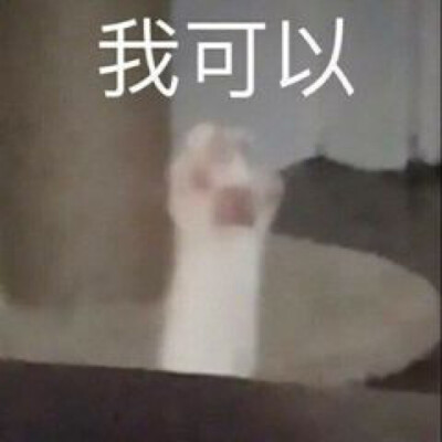 表情包