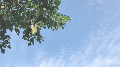 拍的太坎坷了
一对焦就刮风
敬业到趴地上，蹭了一脸泥