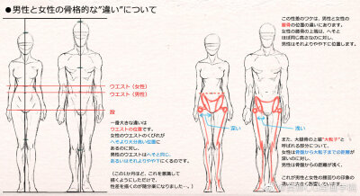  来自画师ピッポ（仲間安方）的绘画参考，男女的坐姿