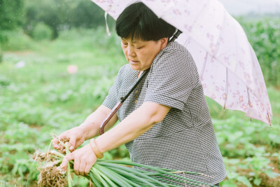 端午回家
摄影：洪小漩
出镜：家
此前的两个小长假，都随着阿科去了绍兴，此次端午了，轮到去浦江了。
在浦江的三天，我们去镇上吃了早点，阿科和我年少的玩伴们去钓了鱼，惬意。
家中有几片自留地，虽说面积不…