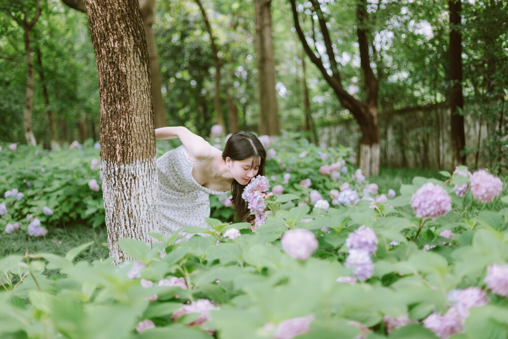 收集夏天
摄影：洪小漩
出镜：莹莹
在贴沙河边，有一片漂亮的紫阳花，其中最为常见的品种，叫无尽夏。
不舍得辜负这花开时节，十分临时地叫了莹莹来，想着错过了春日蔷薇，可不能再错过夏日绚烂的绣球。
哪怕素颜，依然很好看。