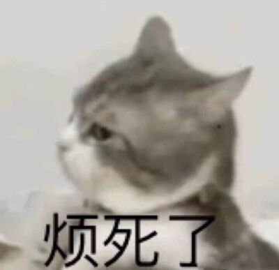 表情