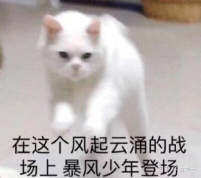 表情