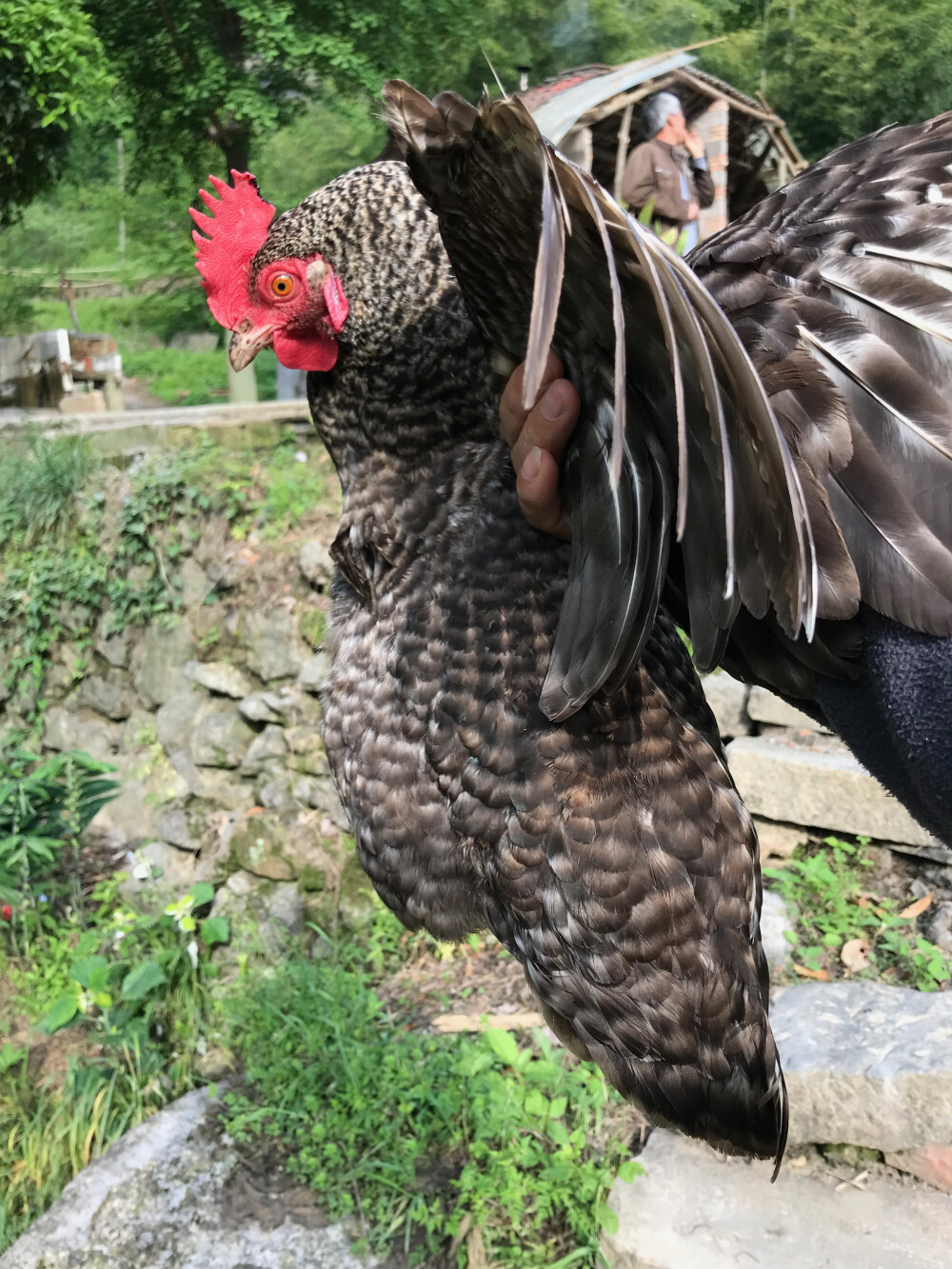 夏天避暑玩水的好地方，原生态