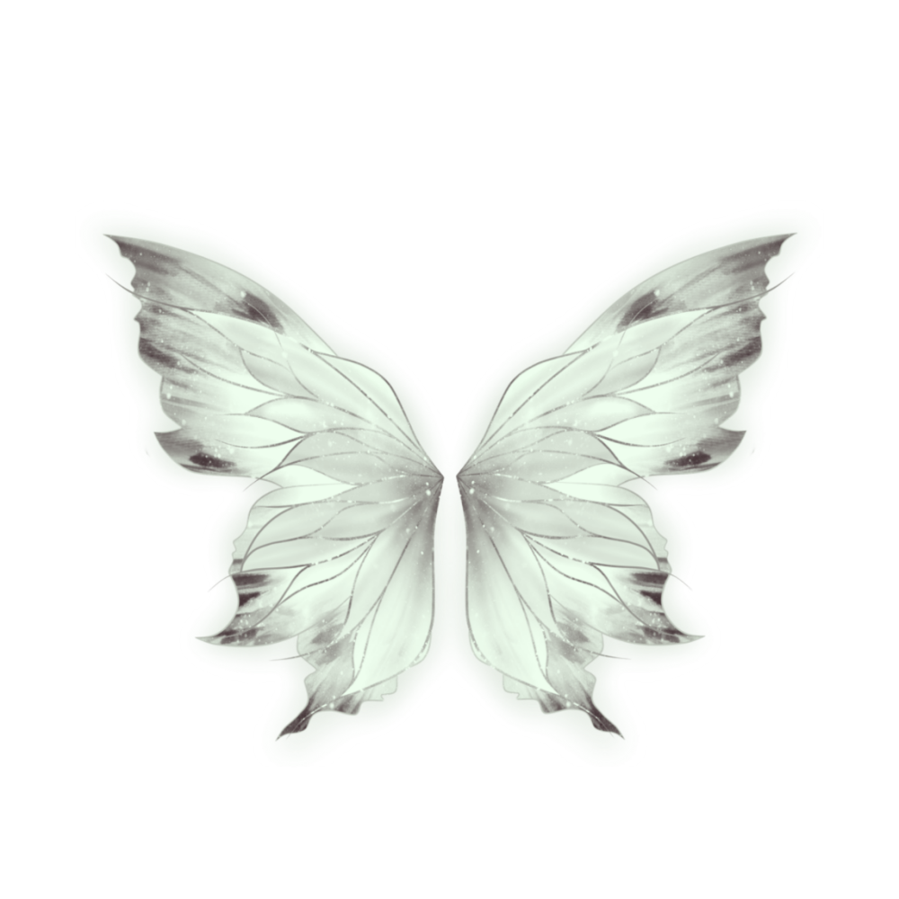 蝴蝶翅膀侧面图片